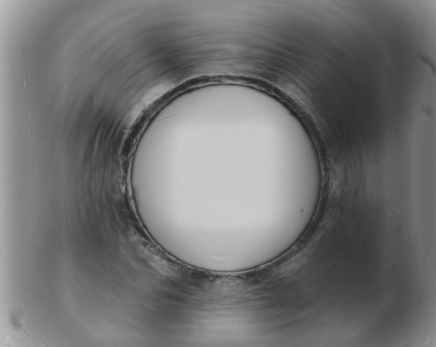 X0000103300974200809122026