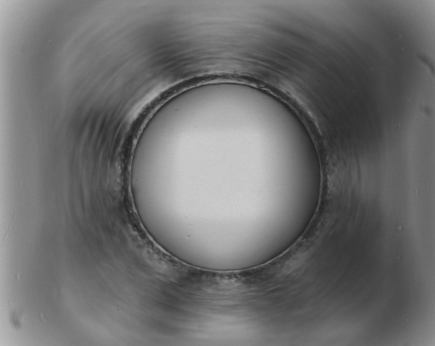 X0000103300975200809122026