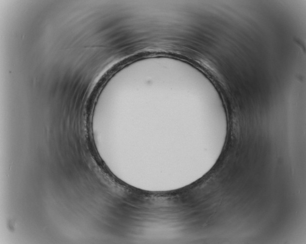 X0000103300976200809122026