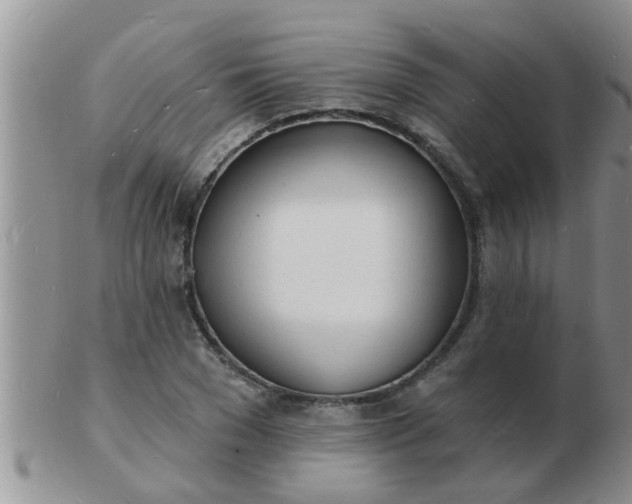 X0000103300977200809122026