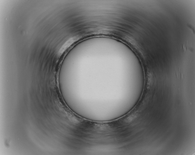 X0000103300978200809122026