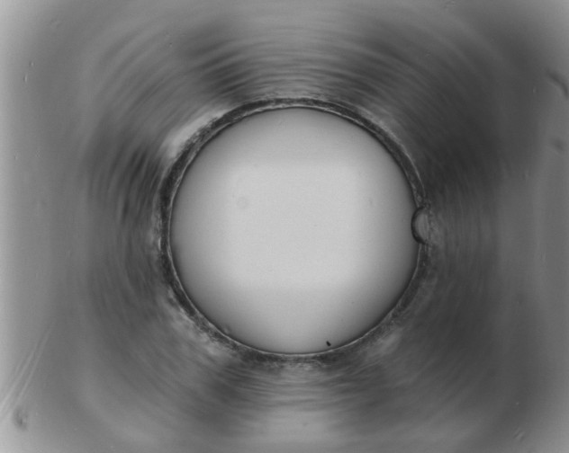 X0000103300979200809122026