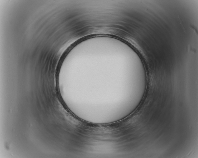 X0000103300980200809122026