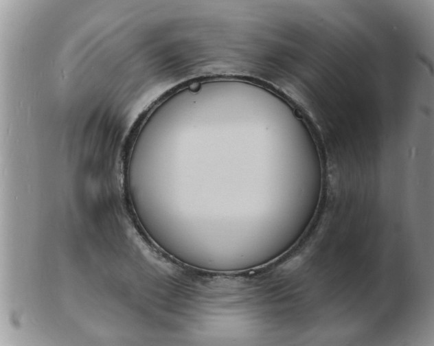 X0000103300981200809122026