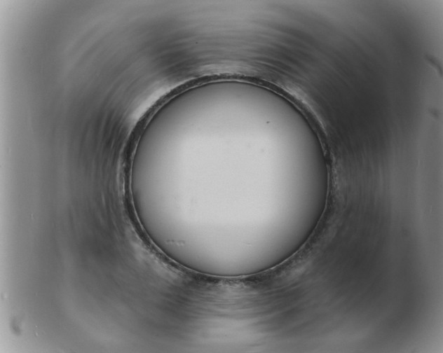 X0000103300983200809122026