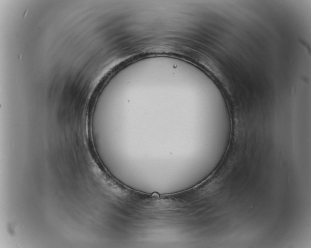 X0000103300984200809122026