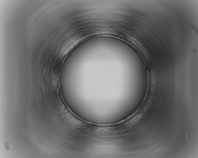 X0000103300985200809122026