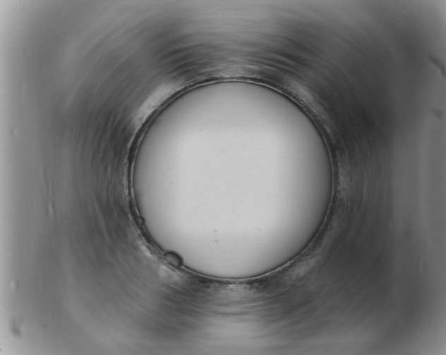 X0000103300986200809122026