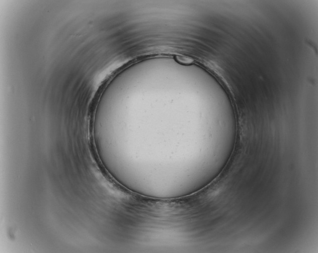 X0000103300987200809122026