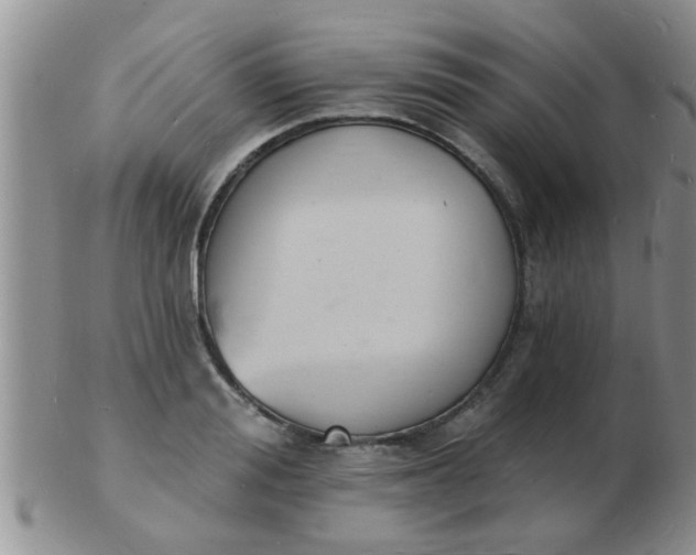 X0000103300988200809122026