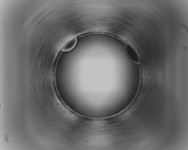 X0000103300989200809122026