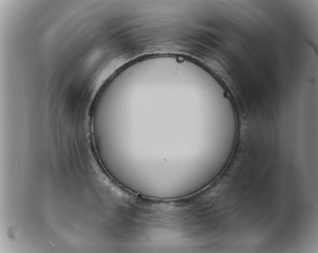 X0000103300990200809122026