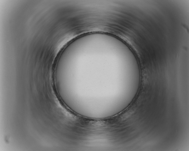 X0000103300991200809122026