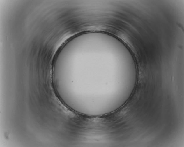 X0000103300992200809122026