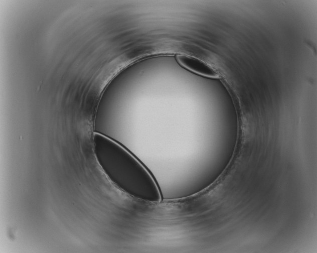 X0000103300993200809122026