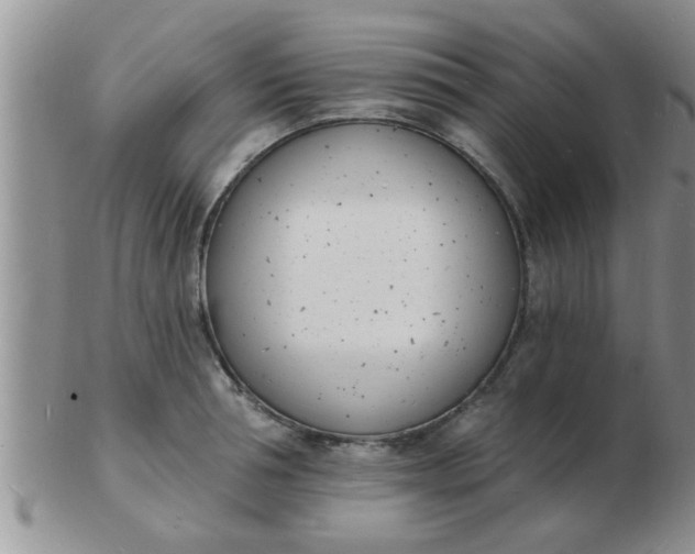 X0000103300994200809122026