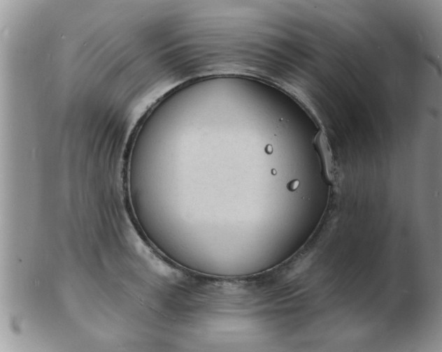 X0000103300995200809122025