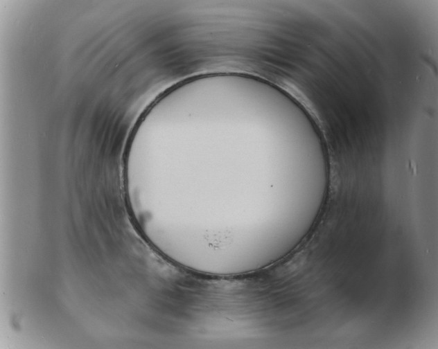 X0000103300996200809122025