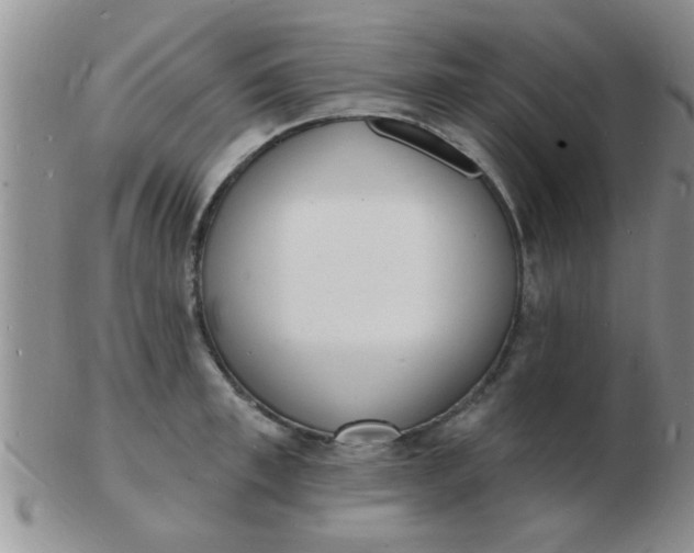 X0000103300997200809122025