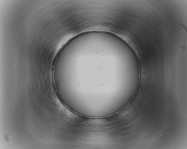 X0000103300998200809122025