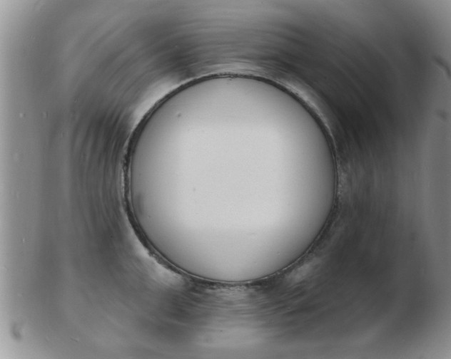 X0000103300999200809122025