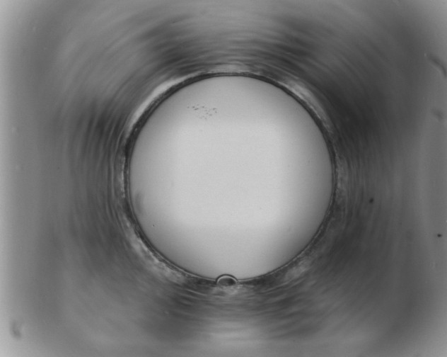 X0000103301000200809122025