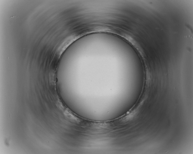 X0000103301001200809122025