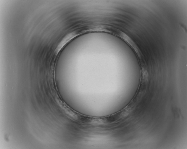 X0000103301002200809122025