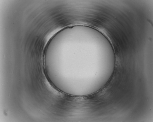 X0000103301003200809122025