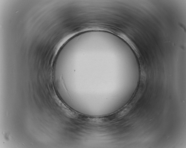 X0000103301004200809122025