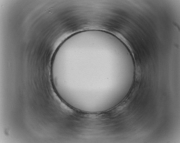 X0000103301005200809122025