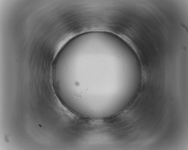 X0000103301006200809122025