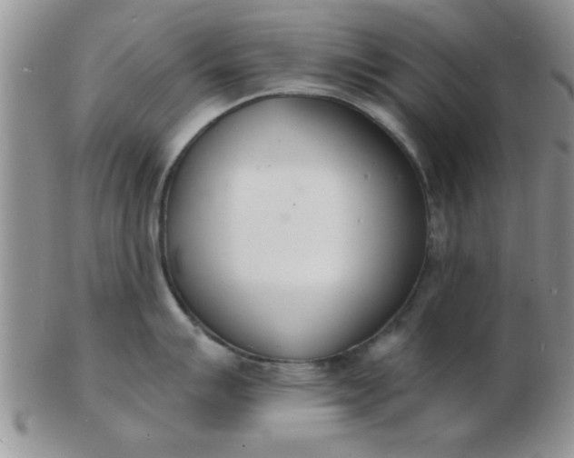 X0000103301007200809122025