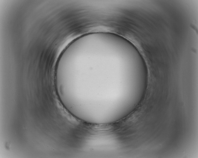 X0000103301008200809122025