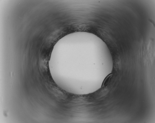 X0000103301010200809122025