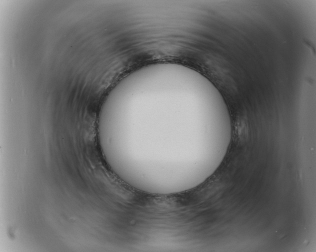 X0000103301012200809122025