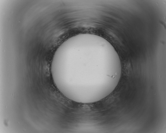 X0000103301013200809122025