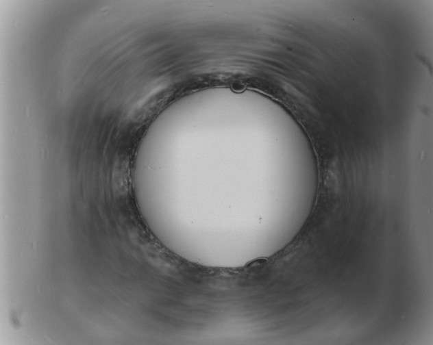 X0000103301014200809122025