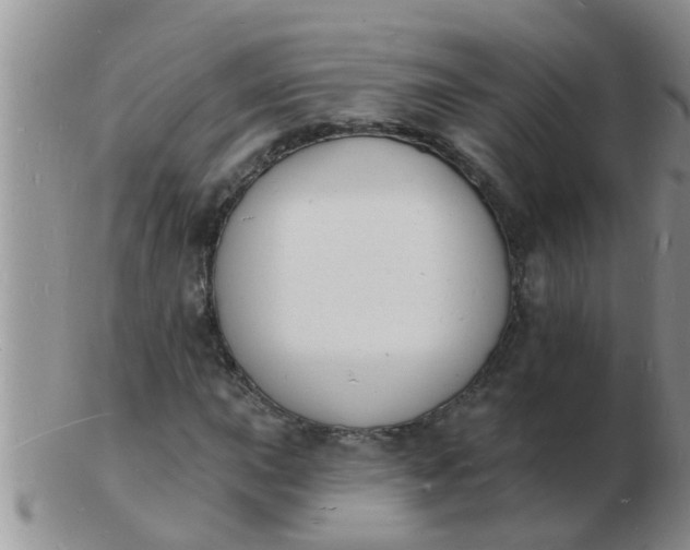 X0000103301015200809122025