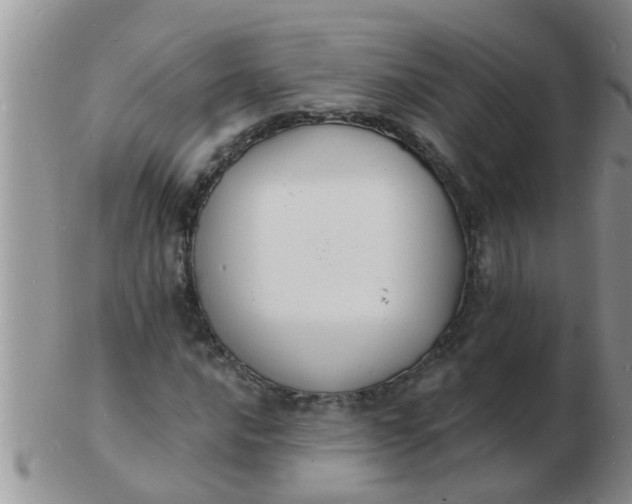 X0000103301016200809122025