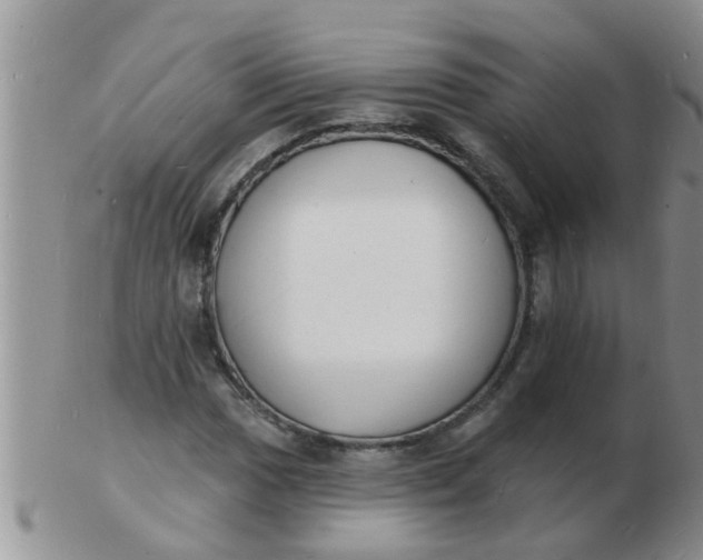 X0000103301017200809122025