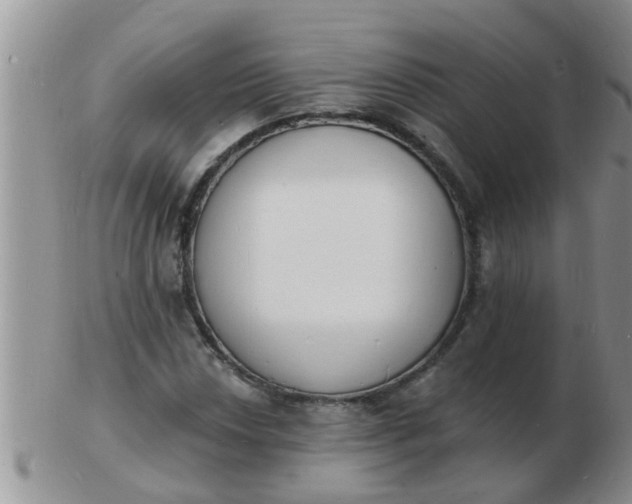 X0000103301018200809122025