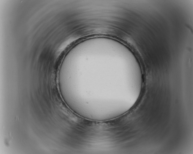 X0000103301019200809122025