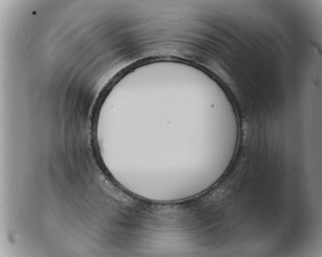 X0000103301020200809122025