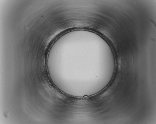 X0000103301021200809122025