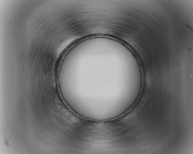 X0000103301022200809122025