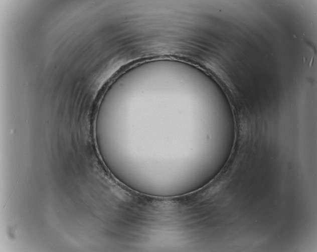 X0000103301023200809122025