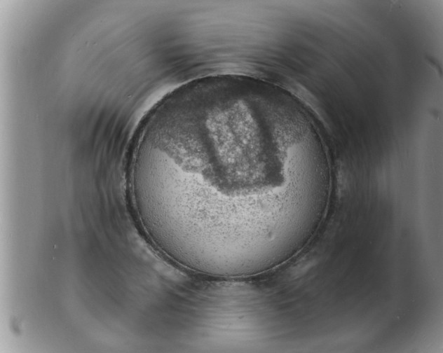 X0000103301024200809122025