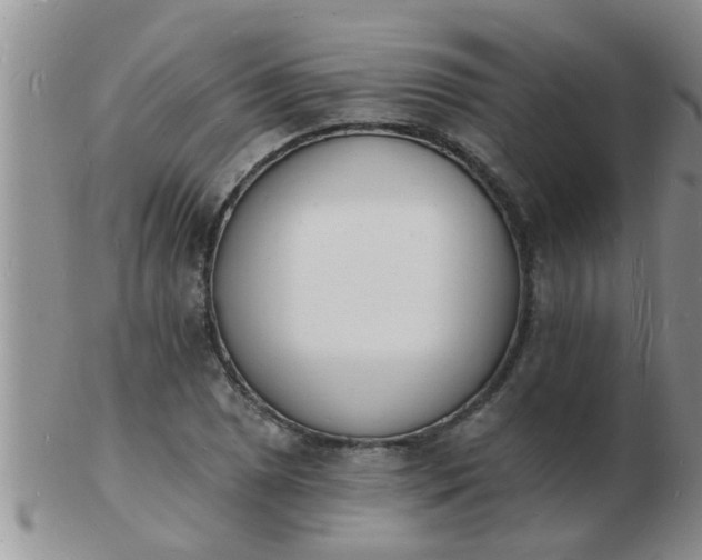 X0000103301025200809122025