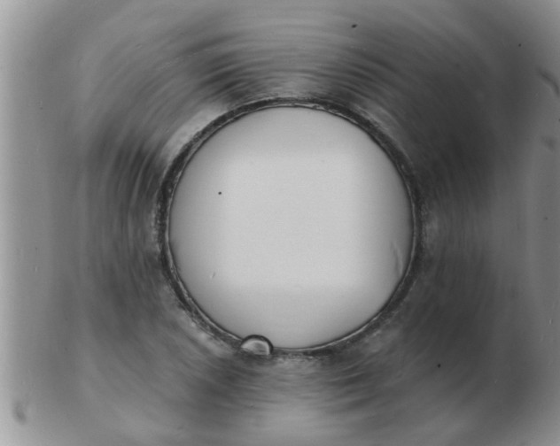 X0000103301026200809122025